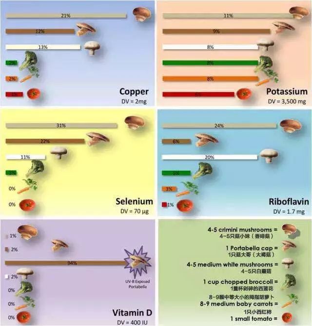 蘑菇视频养殖肉技术大全_肉蘑菇养殖技术视频_蘑菇养殖视频播放