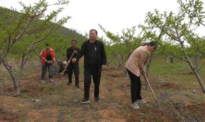 郏县: 种下致富桃 踏上振兴路