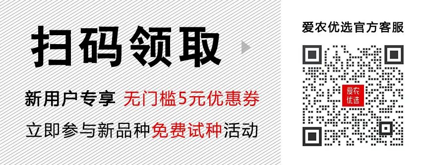 视频西瓜籽种植技术教程_西瓜子种植视频_西瓜籽种植技术视频