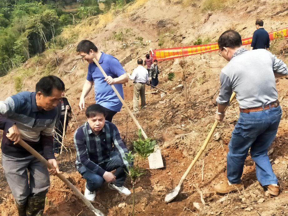 八角种植骗局_八角赚钱网_八角致富经