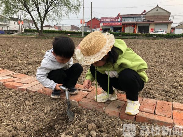 致富农场种植国外产品_致富农场app下载_国外农场种植致富