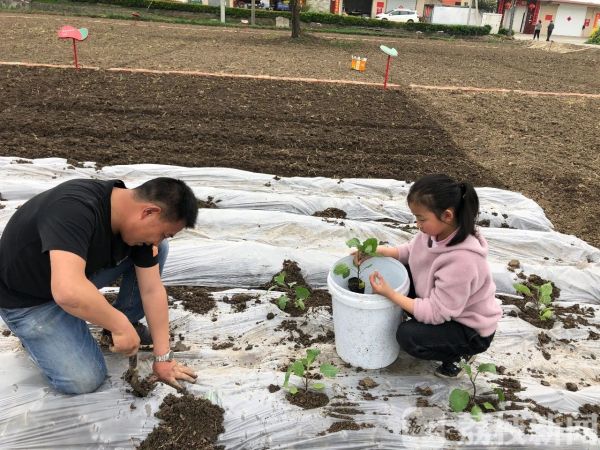 国外农场种植致富_致富农场种植国外产品_致富农场app下载