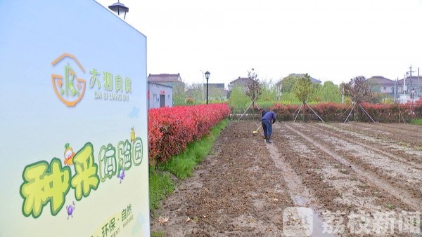 国外农场种植致富_致富农场种植国外产品_致富农场app下载