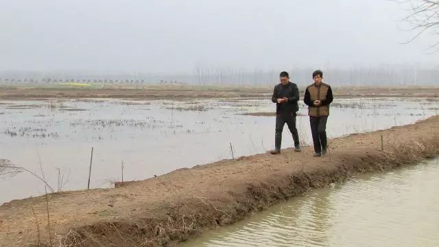 致富经养小龙虾视频播放_致富经龙虾养殖视频全集_致富经小龙虾养殖技术