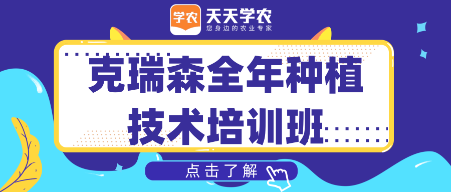 温室葡萄如何管理？这6个基本点，你一定要知道！