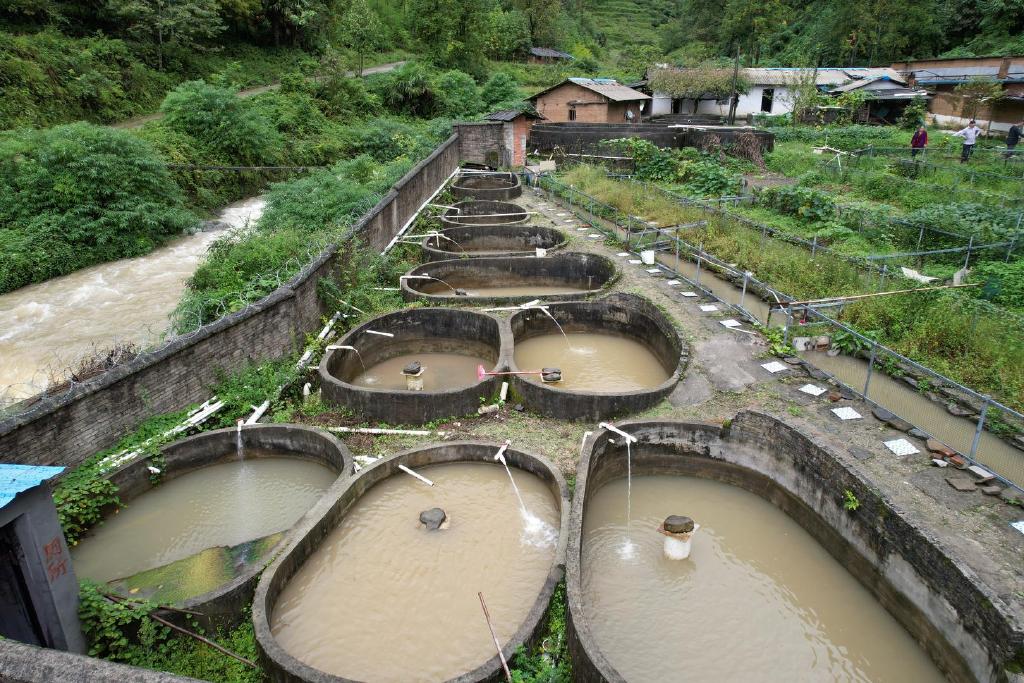 ▲位于龙头山下的娃娃鱼繁育基地  红星新闻记者 王明平 摄