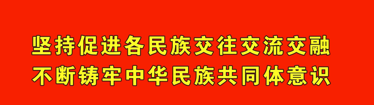 致富养殖鸡生态技术有哪些_生态鸡养殖技术致富经_致富养殖鸡生态技术视频