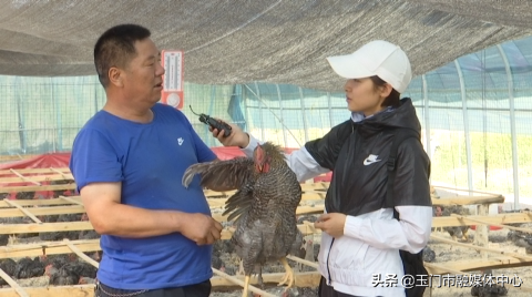 致富养殖鸡生态技术研究_致富养殖鸡生态技术视频_生态鸡养殖技术致富经