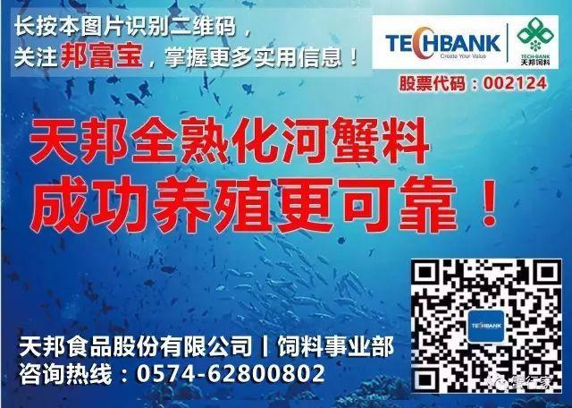 只用10天，投入2160元赚回上万元！青蟹养殖进入全熟化料时代