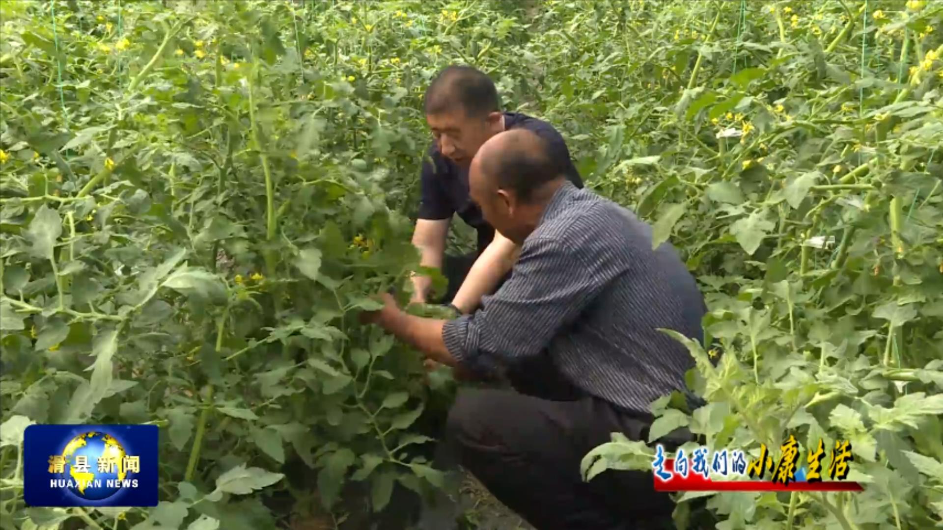 种植致富业_致富种植什么比较赚大钱_怎样搞种植致富