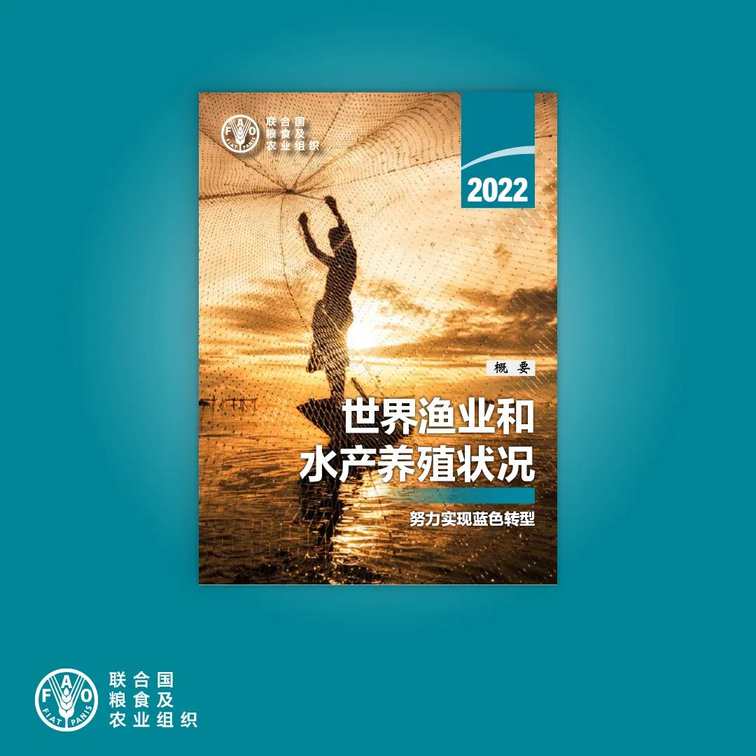 最新发布丨《2022年世界渔业和水产养殖状况》报告