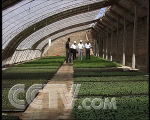 沙漠种植新技术_致富经沙漠种植_沙漠种草致富经视频