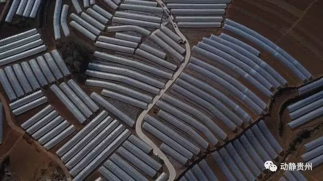 怎样致富致富_致富经奶牛_致富经 牛仔