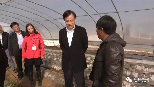 怎样致富致富_致富经 牛仔_致富经奶牛