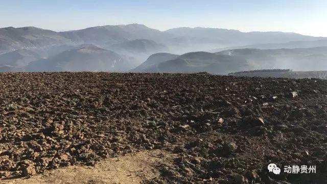 致富经 牛仔_怎样致富致富_致富经奶牛