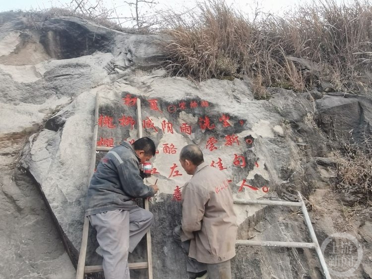 果树种植致富经_大量种植致富果树_致富果树种植大量土壤