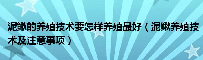 池塘养殖泥鳅技术_养殖泥鳅池塘技术要点_泥鳅池塘养殖技术规程