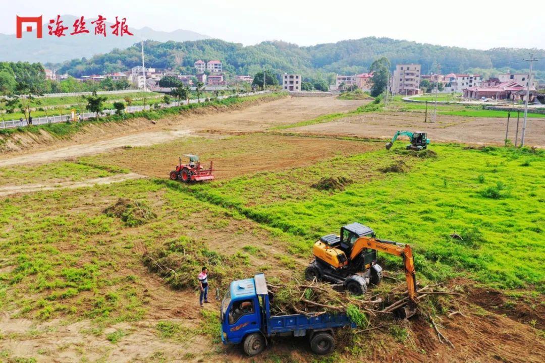 荒地种植什么效益最好_盘活荒地种植致富_荒地种植什么能赚钱