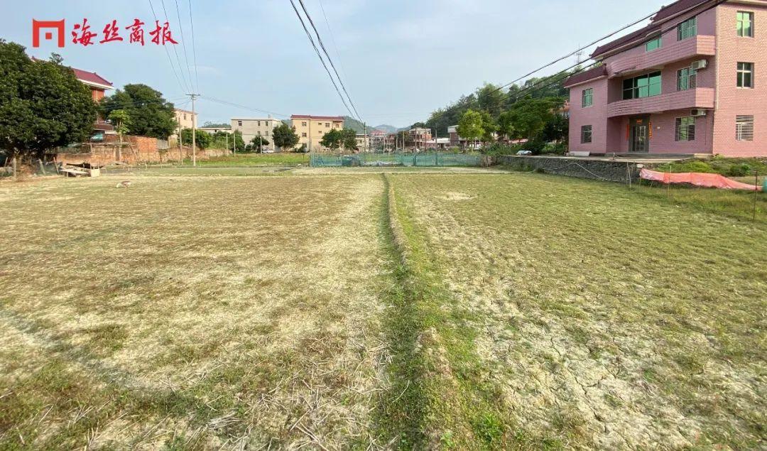 荒地种植什么效益最好_盘活荒地种植致富_荒地种植什么能赚钱