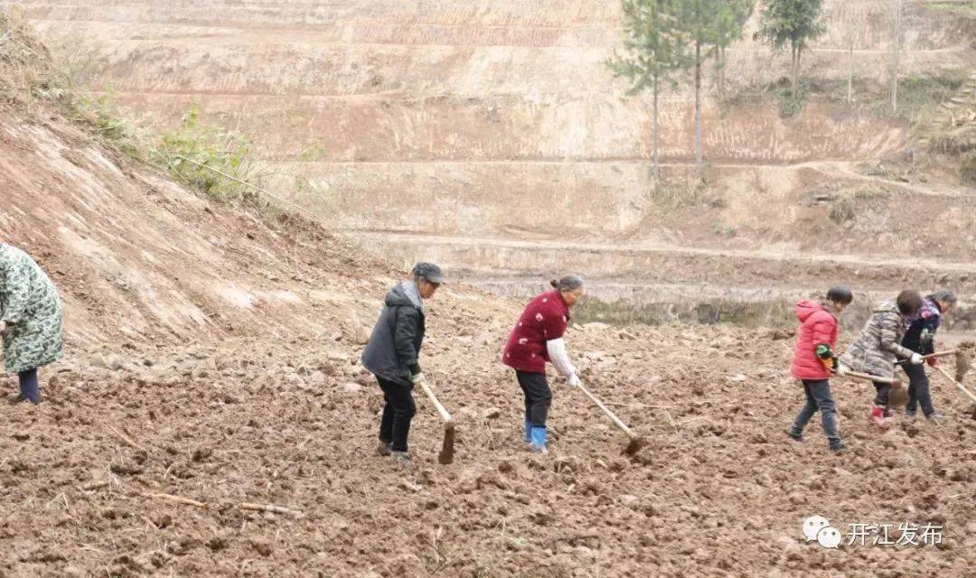 四川开江办好“田间大事”3000亩荒地变良田