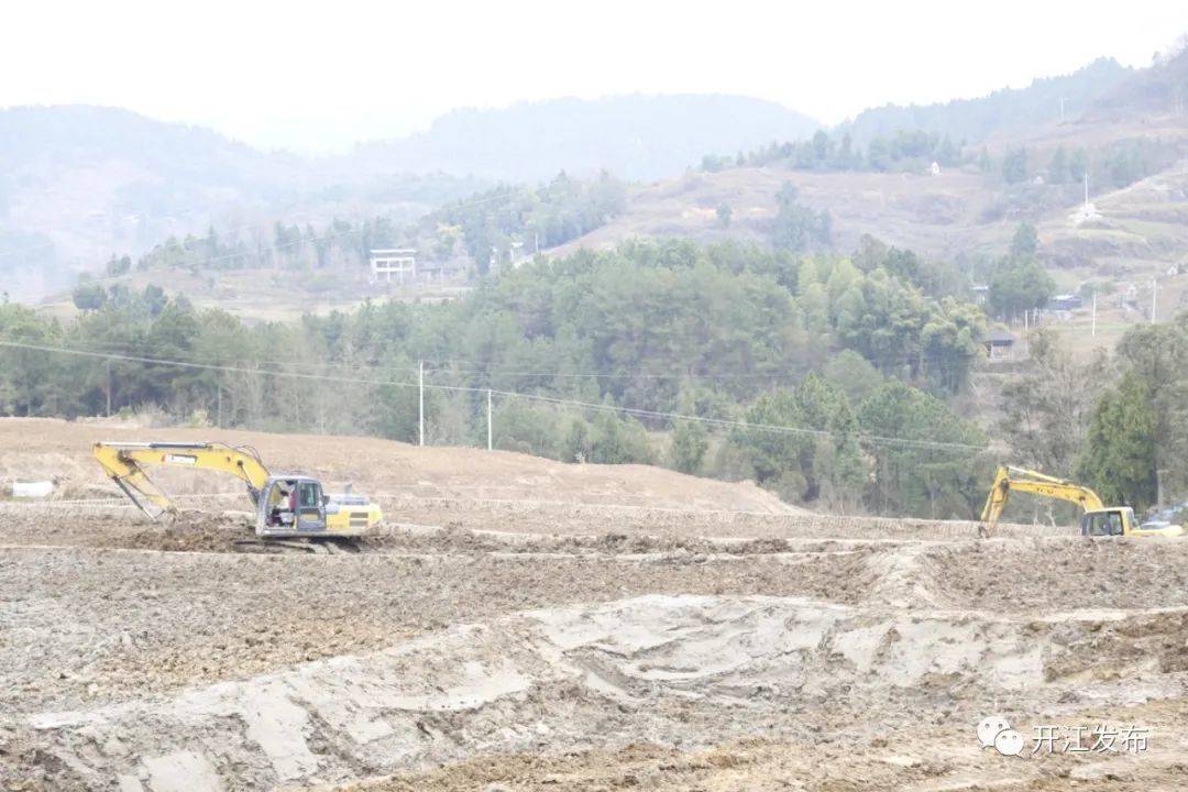 荒地种植什么效益最好_荒地种植什么能赚钱_盘活荒地种植致富