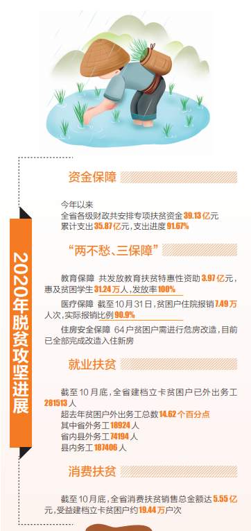 海南省农村致富技术函授大学_海南农村创业致富小项目_致富经 海南