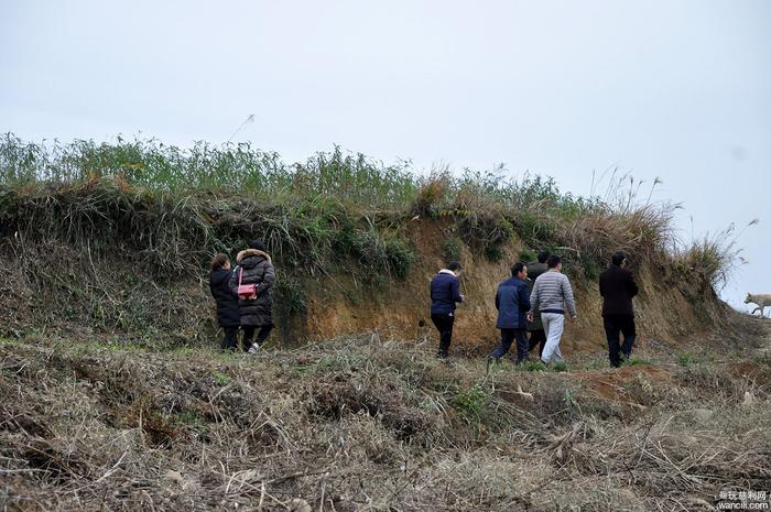 慈利县南山坪乡犀牛村：穷山坳上种冬桃，脱贫致富奔小康