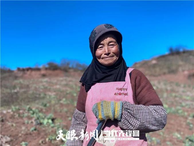 农村种植蔬菜致富方案_农民种植蔬菜致富_致富蔬菜种植农民视频