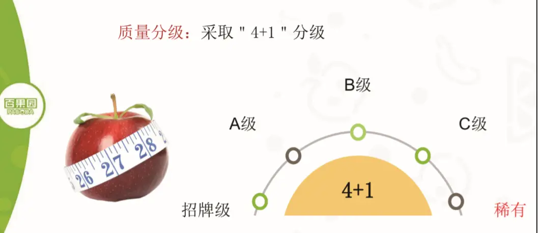 射干种植_孝感农业致富种植各种水果网_山东射干种植致富