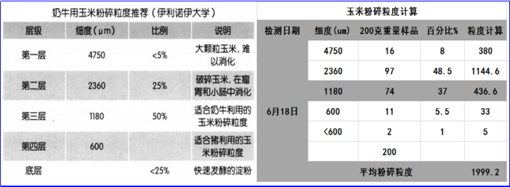 玉米养殖技术_玉米的养殖_玉米养殖技术视频