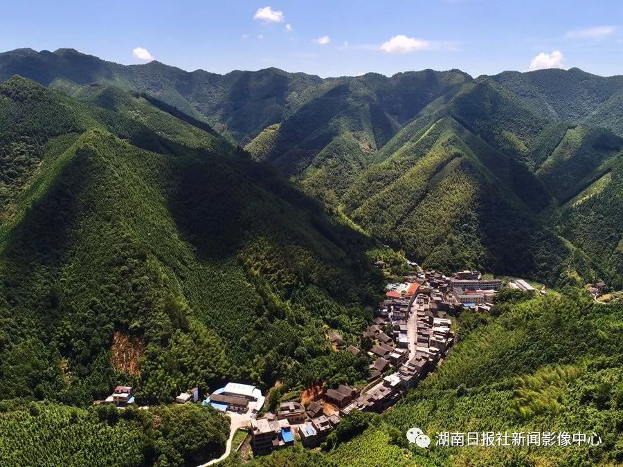 山珍养殖致富项目_致富养殖视频_致富经养殖山羊