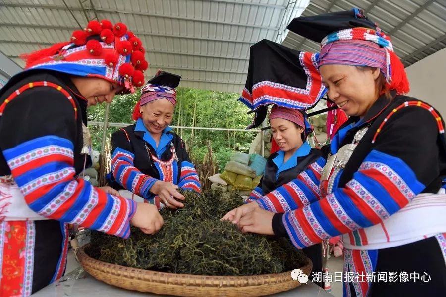 山珍养殖致富项目_致富养殖视频_致富经养殖山羊