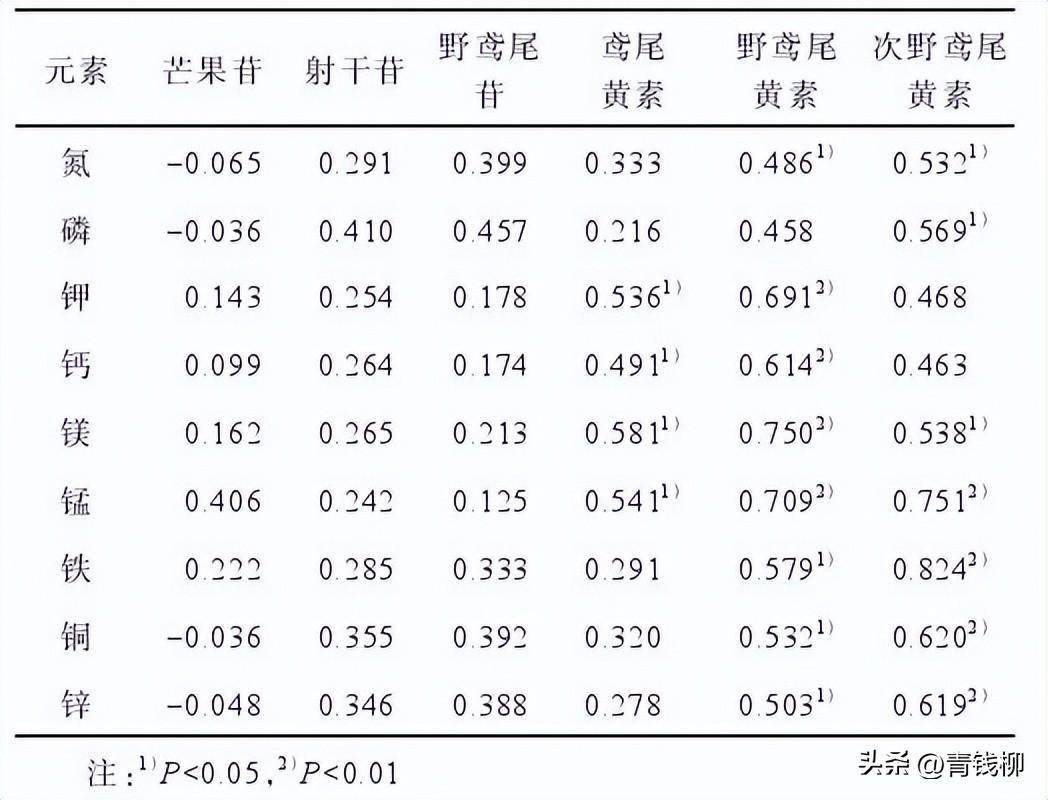 山东农村种植致富好项目_山东射干种植致富_雷竹笋种植致富案例