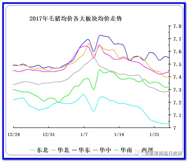 致富东北养猪的小说_东北养猪户_致富经东北养猪