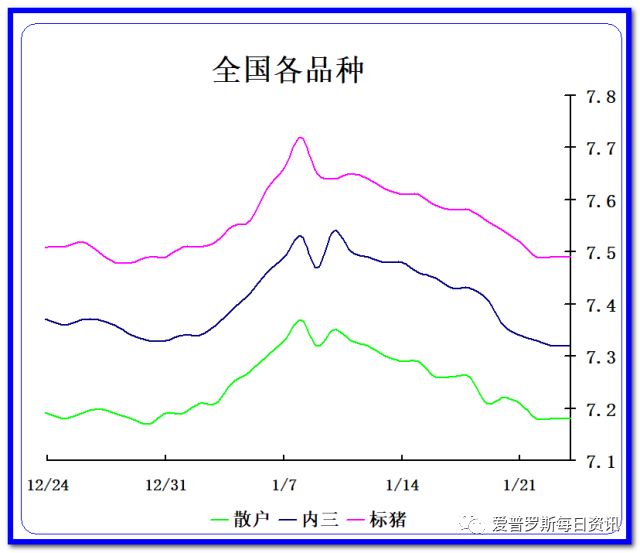 东北养猪户_致富东北养猪的小说_致富经东北养猪