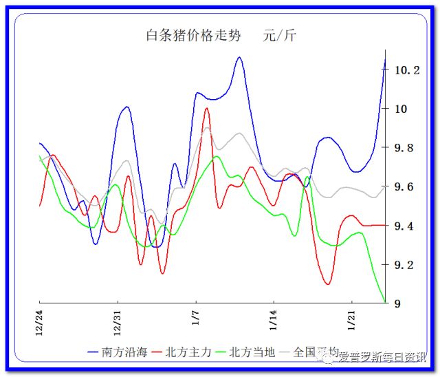 致富经东北养猪_致富东北养猪的小说_东北养猪户