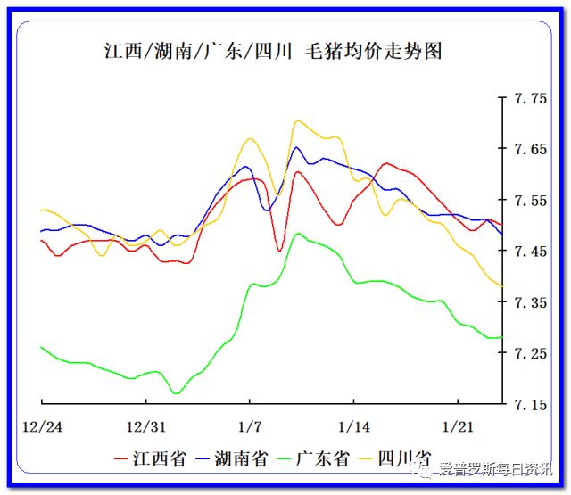 东北养猪户_致富经东北养猪_致富东北养猪的小说