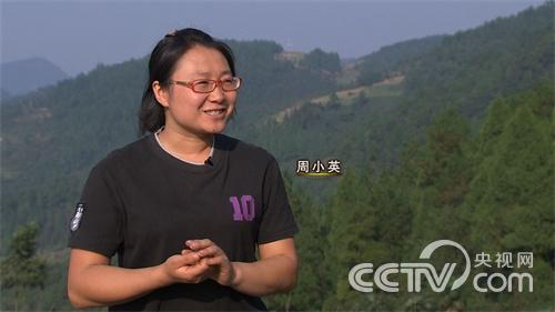 家穷我不怕 豪猪闯天下节目看点：在重庆武隆，这些长着硬刺的豪