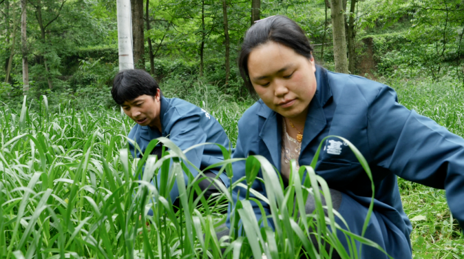 视频致富养殖夫妻在线观看_夫妻养殖致富视频_养殖致富网视频