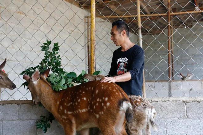 夫妻养殖致富视频_养殖视频致富经_养殖致富网视频