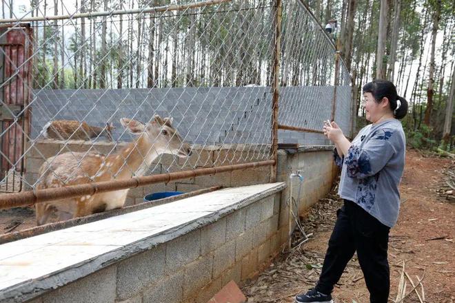 养殖视频致富经_夫妻养殖致富视频_养殖致富网视频