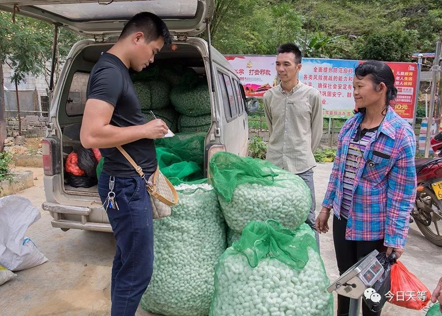 种砂仁赚钱吗_致富种植砂仁图片_砂仁种植致富