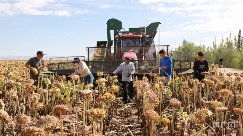 致富农机有哪些_农业致富种植机器_致富种植农业机器人视频