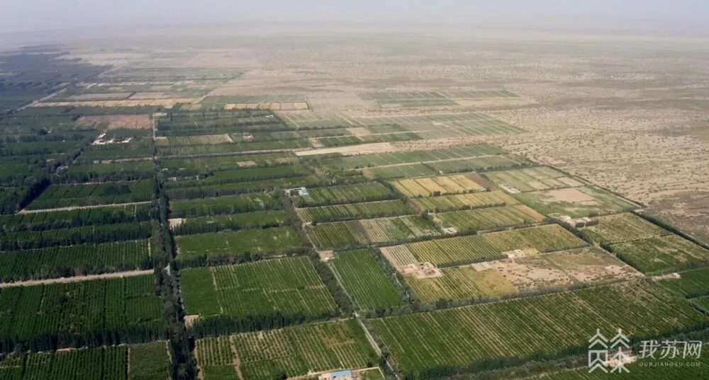 种植致富业_致富种植道路是什么意思_种植致富的道路是什么