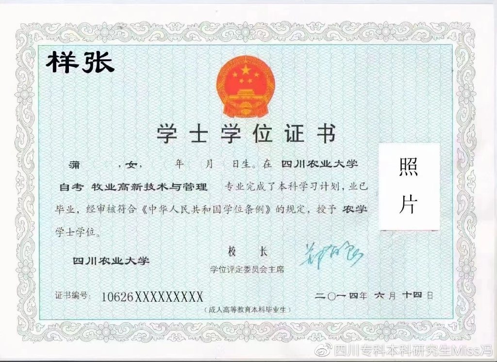 鹅养殖技术讲座视频_鹅养殖技术视频教程_养鹅技术视频播放