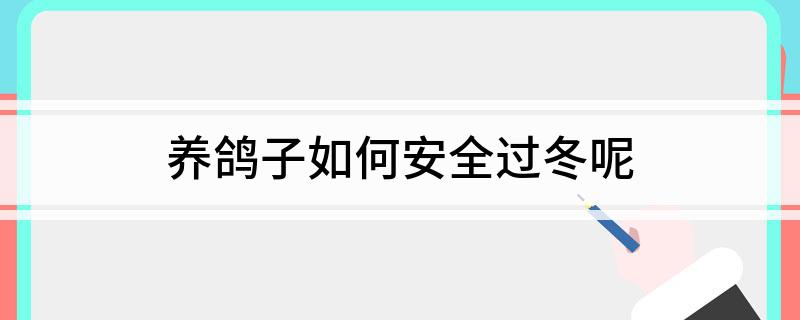 鸽子养殖技术视频冬天_冬季养鸽子技术视频全集_鸽孑养殖视频