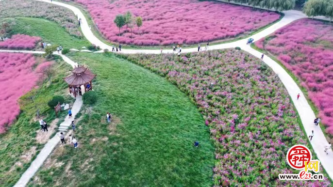 一朵温泉“花”实现致富梦，花卉产业蹚出乡村振兴“商河路径”