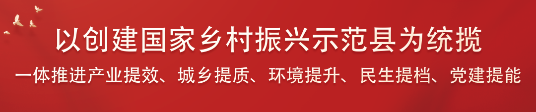 创建国家乡村振兴示范县｜油茶种植铺展致富路