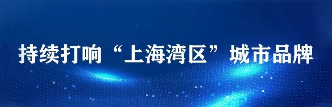 亲宠乐园、林地露营......来金山体验一场快乐之旅吧~