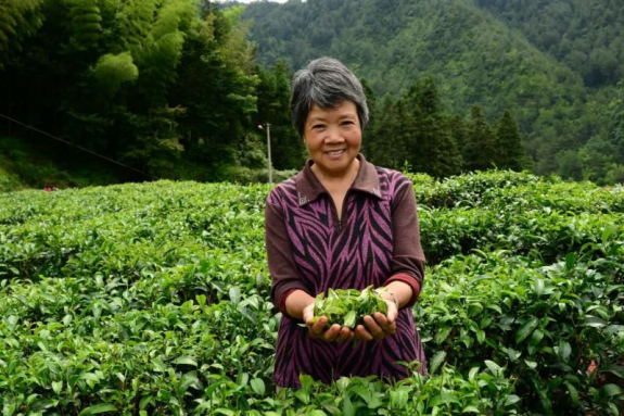 致富种植视频全集_扶贫种果树_扶贫种植致富果视频